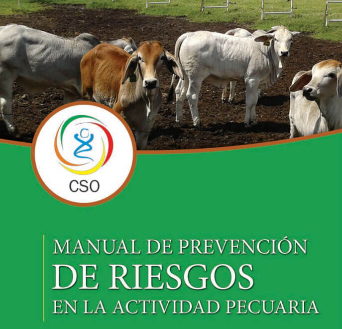 Imagen asociada